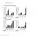 Fig. 06 - Facilitator-DNA combination vaccine