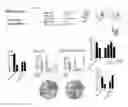 Fig. 09 - Facilitator-DNA combination vaccine