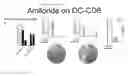 Fig. 10 - Facilitator-DNA combination vaccine