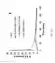 Fig. 19 - CELLULOSE DERIVATIVES FOR INHIBITING CRYSTALLIZATION  OF POORLY WATER-SOLUBLE DRUGS