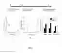 Fig. 08 - Compositions and methods for diagnosing or treating neutrophil-mediated inflammatory disease