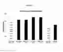 Fig. 03 - Oxygenated demineralized bone matrix for bone growth