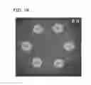 Fig. 17 - APPARATUS FOR MAKING ENGINEERED TISSUE USING SELF-ASSEMBLING CELL AGGREGATES