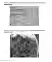 Fig. 02 - LOW DENSITY CHEWING GUM AND METHOD OF MAKING SAME