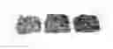 Fig. 01 - COMPOSITIONS AND METHODS FOR THE STABILITY OF REACTIVE AMINO ACIDS IN A FOOD MATRIX