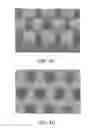 Fig. 08 - Carbon nanotube-graphene composite, method of forming the same, and electronic device