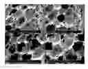Fig. 01 - Viscoelastic foam