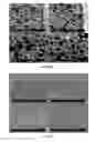 Fig. 04 - Viscoelastic foam