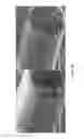 Fig. 19 - High strength ceramic fibers and methods of fabrication