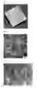 Fig. 02 - COLLAGEN STRUCTURE, AND METHOD FOR PRODUCING COLLAGEN STRUCTURE