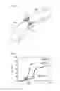 Fig. 02 - Pipeline and manufacturing method thereof