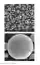 Fig. 01 - Positive active material for lithium secondary battery and method of preparing same