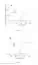 Fig. 05 - Ligase reaction mediated amplification method and use thereof