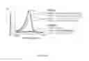 Fig. 06 - Small conditional RNAs