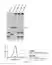 Fig. 28 - Small conditional RNAs