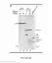 Fig. 32 - Small conditional RNAs