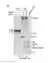 Fig. 43 - Small conditional RNAs