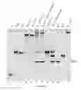 Fig. 46 - Small conditional RNAs