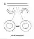 Fig. 05 - Determination of cell chirality