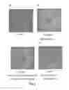 Fig. 11 - Determination of cell chirality