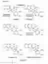 Fig. 09 - Biosynthesis of opiate alkaloids