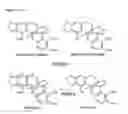 Fig. 10 - Biosynthesis of opiate alkaloids