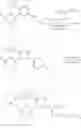 Fig. 27 - Metalloenzyme inhibitor compounds