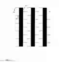 Fig. 08 - Functionalized graphene substrates