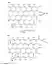 Fig. 10 - Functionalized graphene substrates