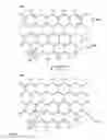 Fig. 12 - Functionalized graphene substrates