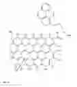 Fig. 13 - Functionalized graphene substrates