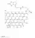 Fig. 15 - Functionalized graphene substrates