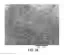 Fig. 27 - Processing biomass
