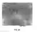 Fig. 28 - Processing biomass