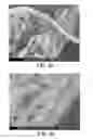 Fig. 31 - Processing biomass