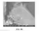 Fig. 32 - Processing biomass