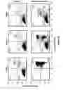 Fig. 08 - INHIBITING CYCLIN D POLYPEPTIDES