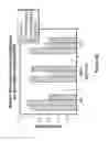 Fig. 10 - INHIBITING CYCLIN D POLYPEPTIDES