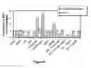 Fig. 12 - INHIBITING CYCLIN D POLYPEPTIDES