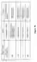 Fig. 16 - INHIBITING CYCLIN D POLYPEPTIDES
