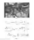Fig. 04 - Substrate-mimetic Akt inhibitor