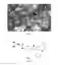 Fig. 12 - Substrate-mimetic Akt inhibitor