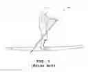 Fig. 02 - STAND-UP PADDLE HARNESS