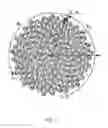 Fig. 08 - COATED ABRASIVE ARTICLE BASED ON A SUNFLOWER PATTERN
