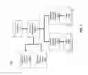 Fig. 02 - Coordination of spectrum usage rights among entities