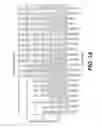 Fig. 02 - Compositions and Methods for Identifying Autism Spectrum Disorders