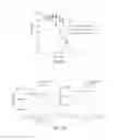 Fig. 40 - SYNTHETIC POLYPEPTIDE LIBRARIES AND METHODS FOR GENERATING NATURALLY DIVERSIFIED POLYPEPTIDE VARIANTS