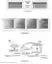 Fig. 02 - COSMETIC COMPOSITION, FORMULATION IN GEL-CREAM AND ITS USE