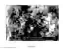 Fig. 03 - Immobilization of single site catalyst on inorganic oxide support for preparation of UHMWPE