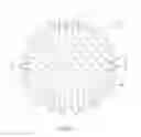 Fig. 02 - Physical therapy ball